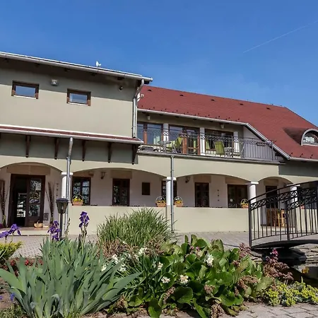 Bed & Breakfast Bikavolgyi Panzio